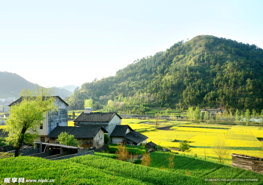 美丽的乡村风景