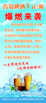 啤酒海报