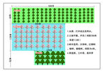 绿化报价图