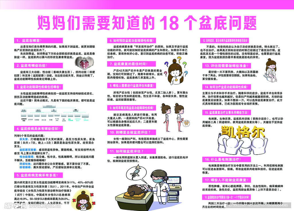 妇科  盆底