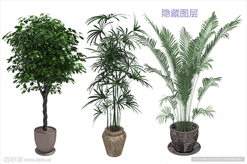 盆栽植物