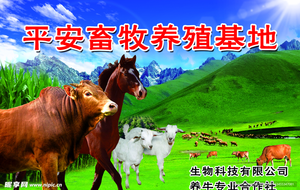 养殖场图片