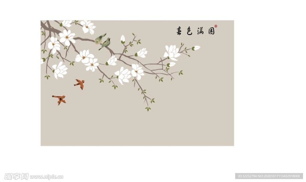 玉兰花