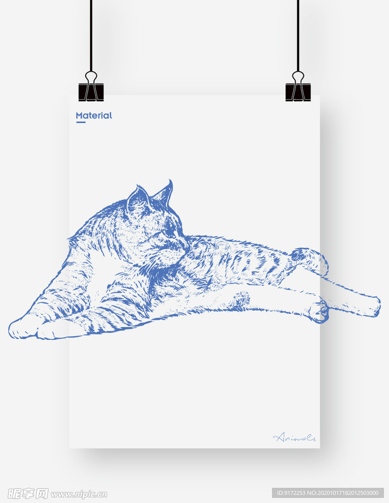 猫