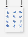 海洋生物