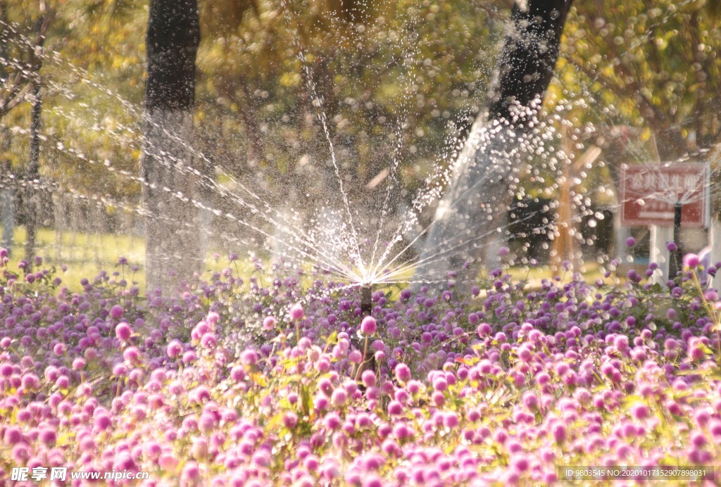 花圃灌溉