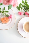 餐盘月季花 秋日月季花 秋花