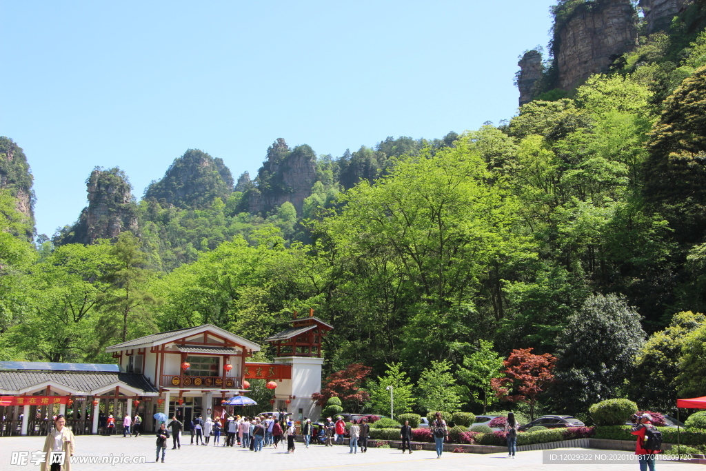 张家界森林公园