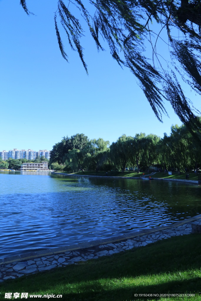 园林风景