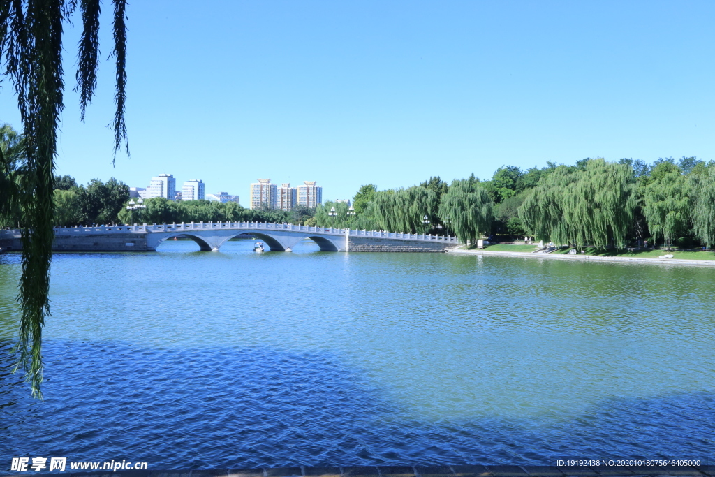 园林风景