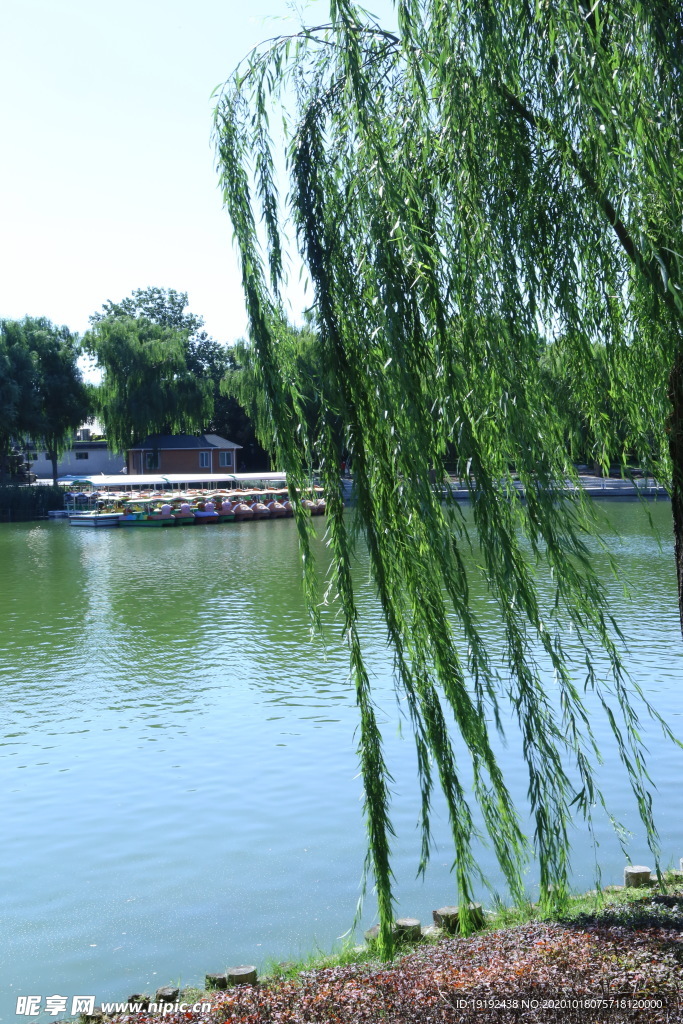 园林风景