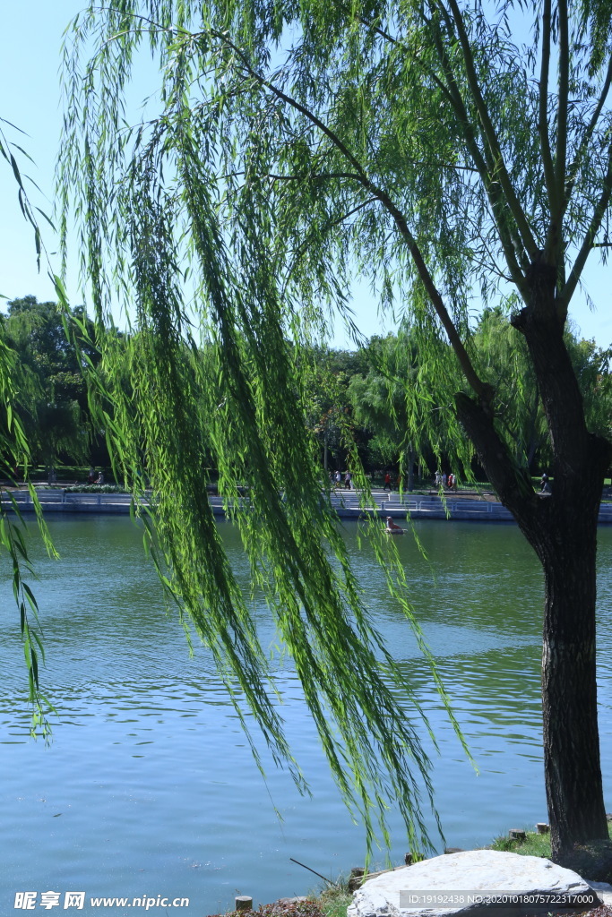 园林风景
