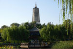 沈阳塔湾舍俐塔和亭子景观