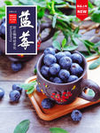 蓝莓