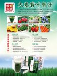 大麦若叶青汁海报