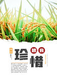 珍惜粮食