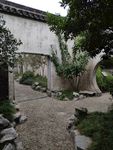 庭院