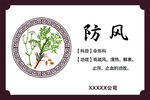 防风功效 防风药效