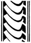 中西式雕花
