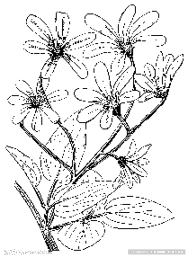 中西式雕花