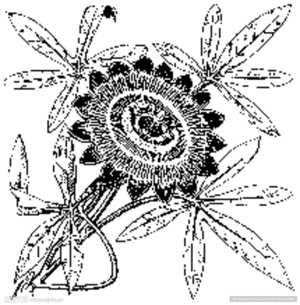中西式雕花