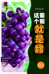 葡萄水果果实宣传海报素材