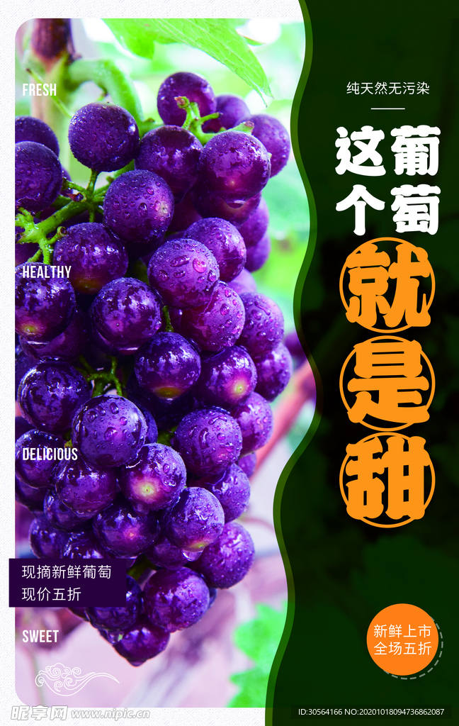 葡萄水果果实宣传海报素材