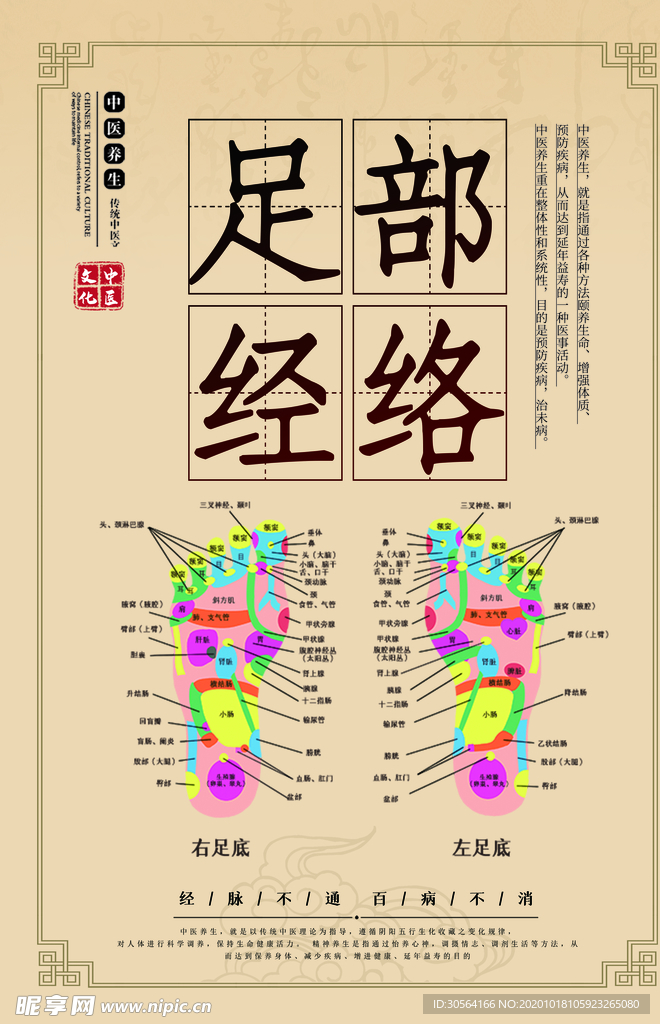 足部经络按摩养生海报素材