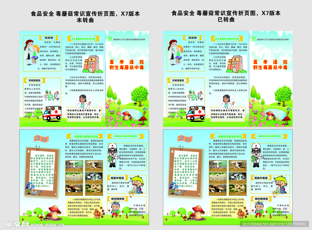 野生毒蘑菇预防常识 宣传折页图