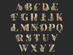 英文字母 数字