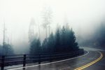 公路背景 雾 高清
