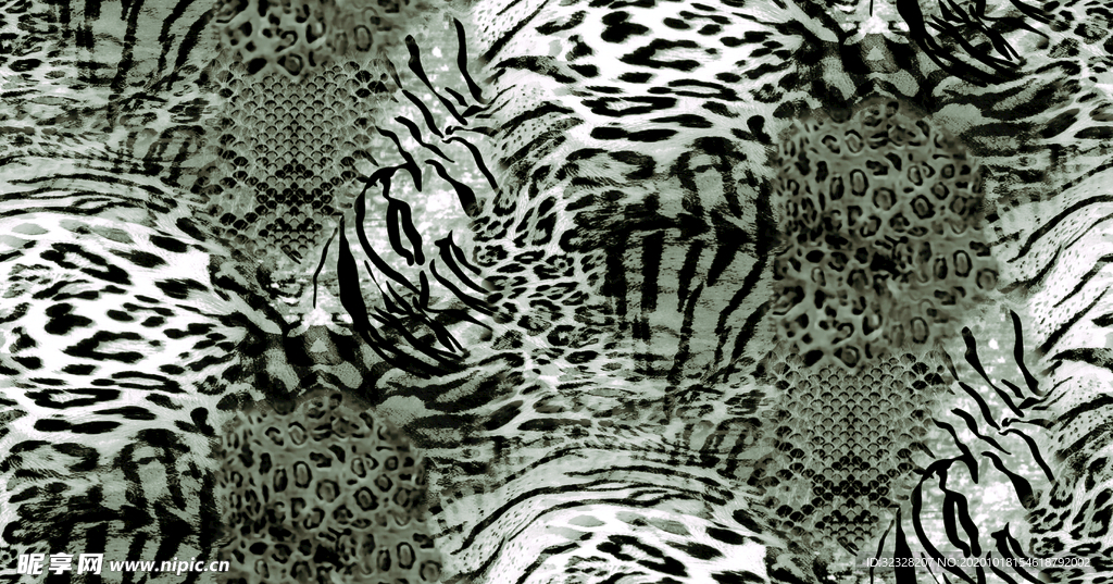 豹纹