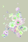 手绘花