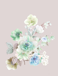手绘花