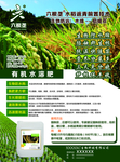 六根垄 水稻 微生物 化肥
