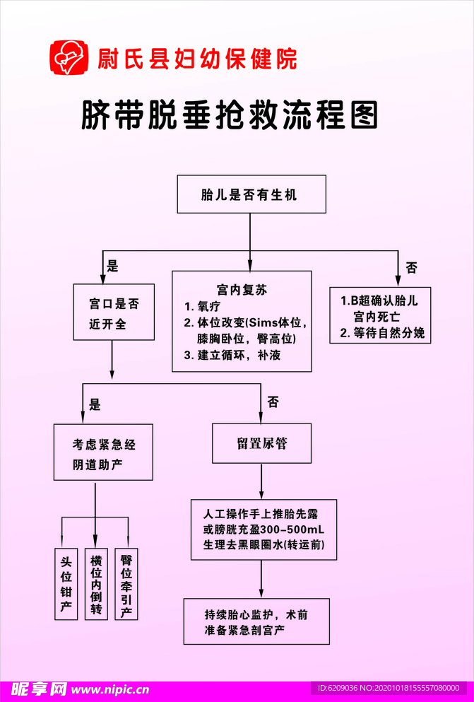 新版《脐带脱垂抢救流程图》