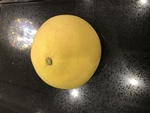 柚子