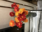 太阳花