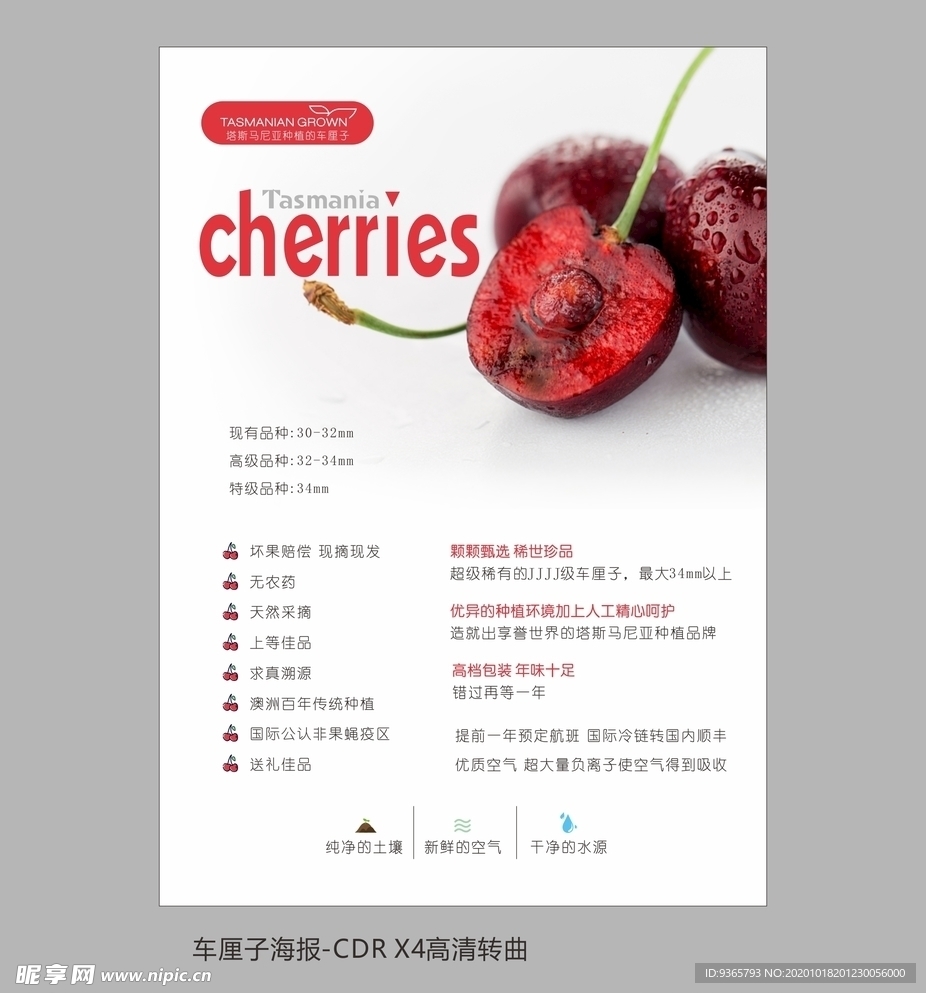 高清车厘子海报