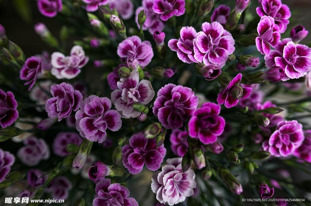 花