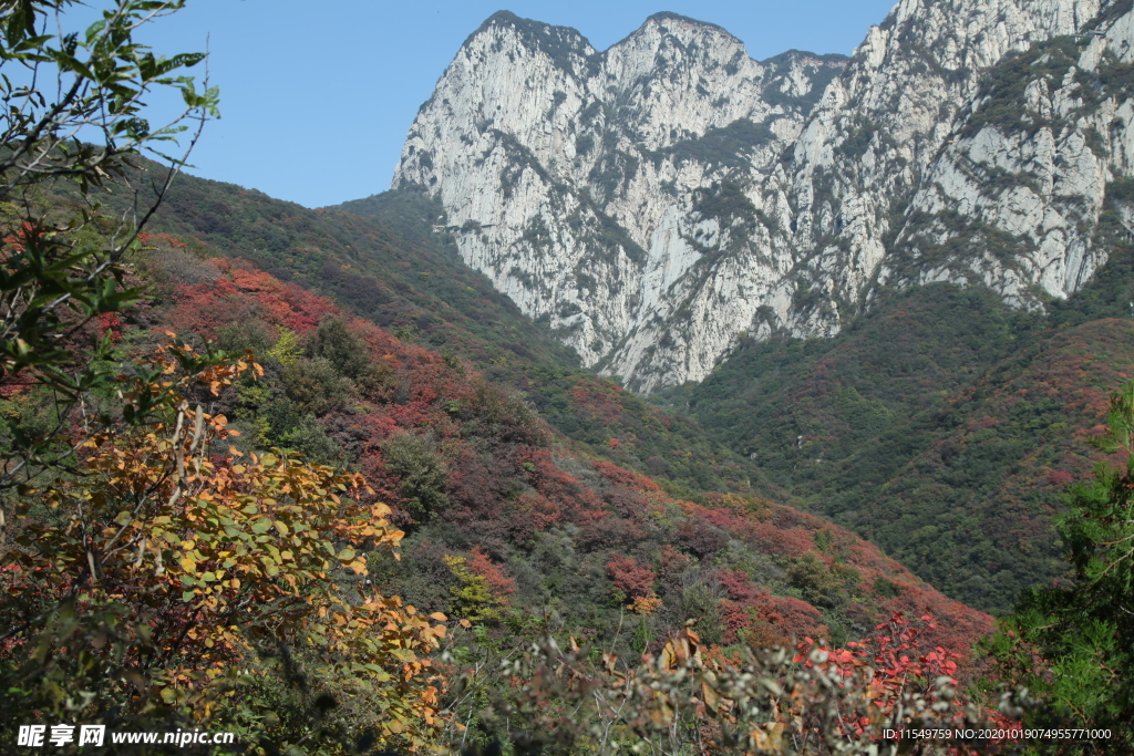 三皇寨景区秋景