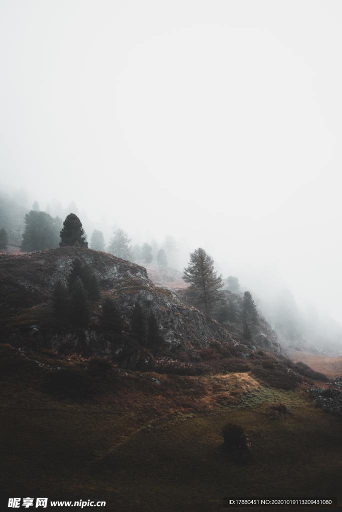 山林