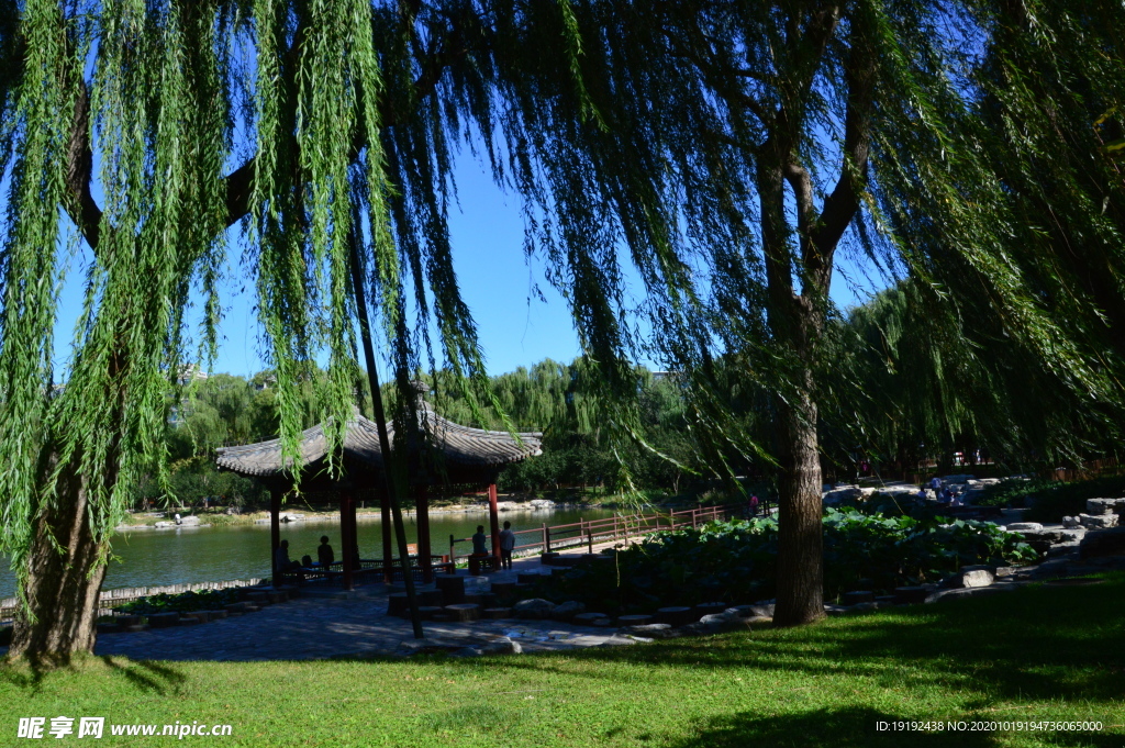 园林风景
