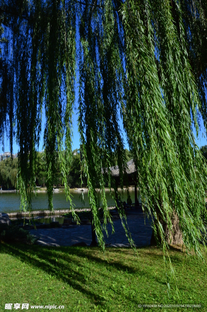 园林风景