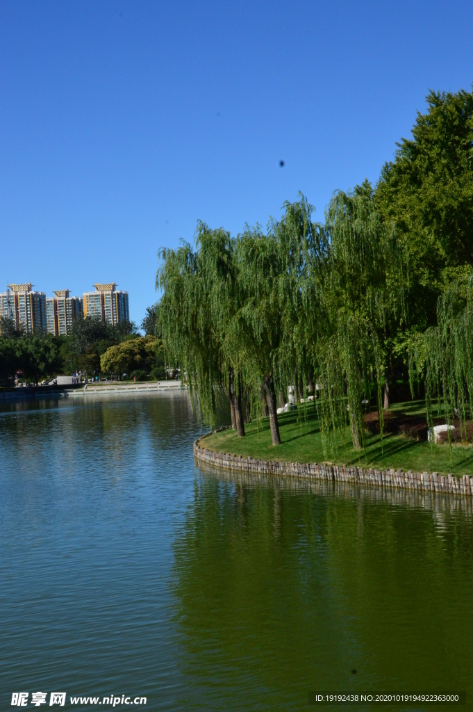 园林风景
