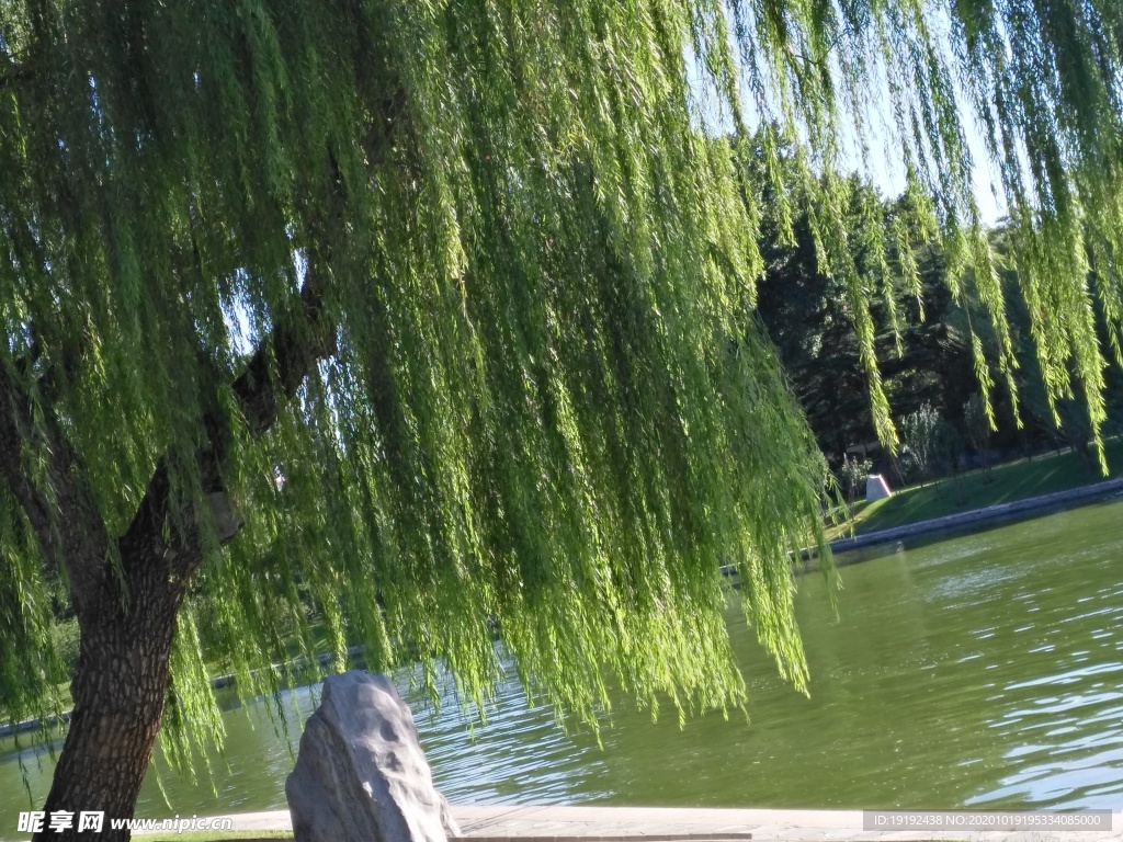 园林风景