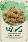 中国风田七药材海报