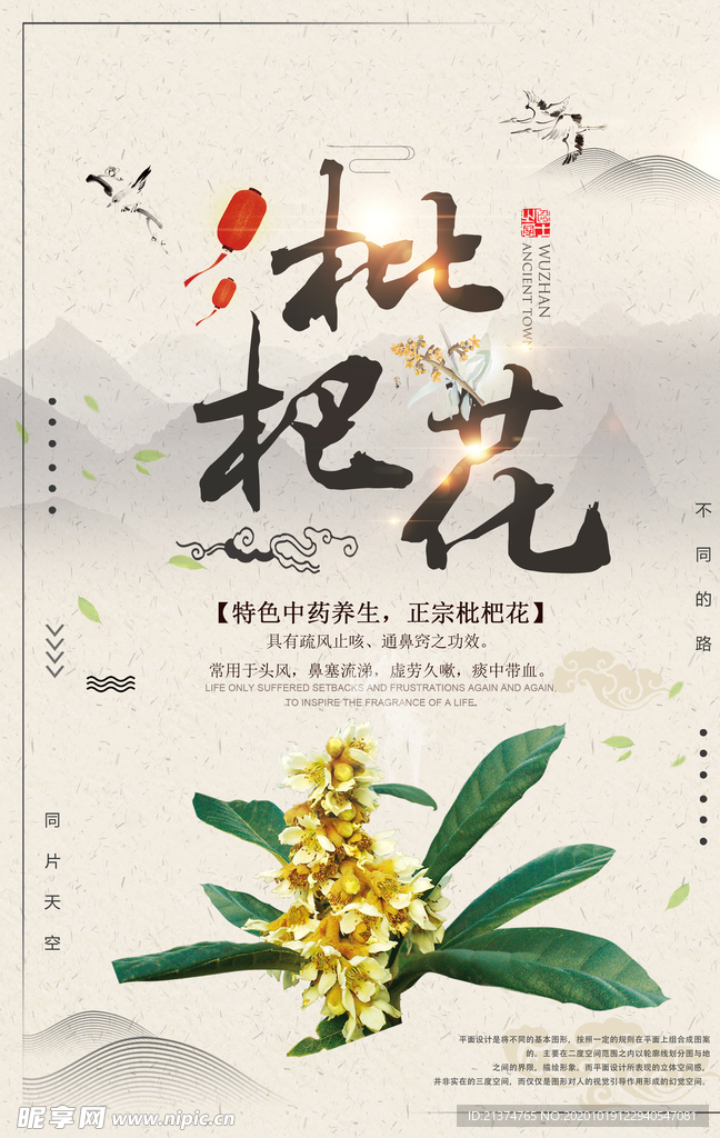 简洁中国风枇杷花海报