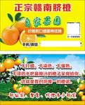 赣南脐橙  名片  自家果园