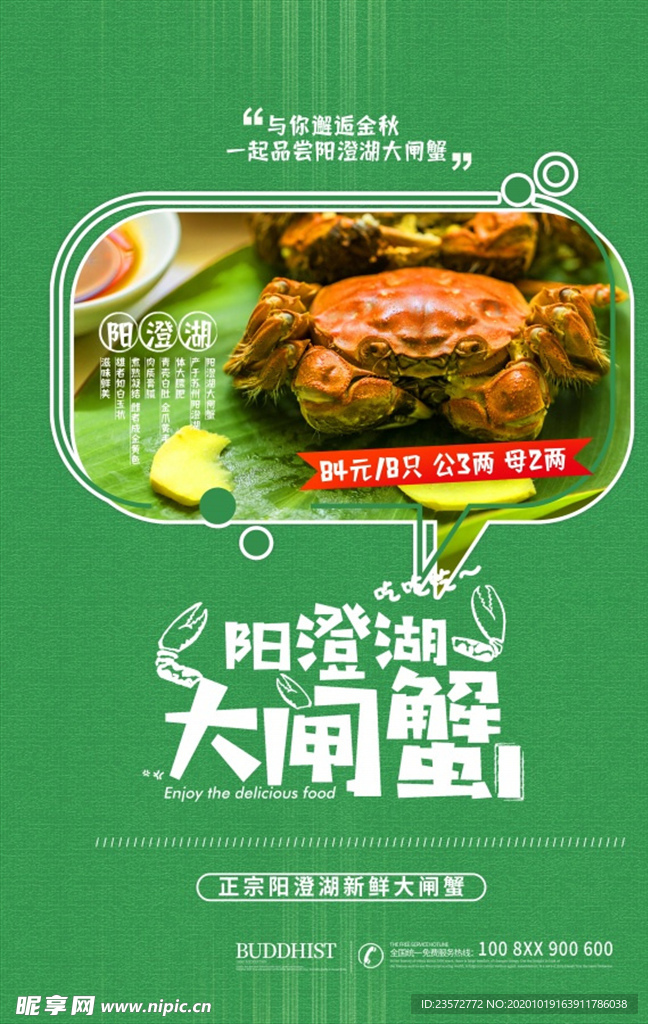 阳澄湖大闸蟹广告